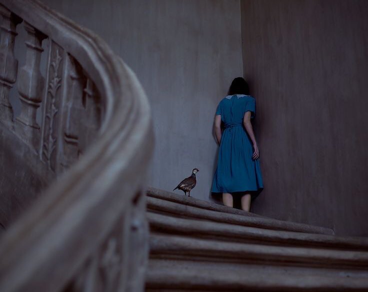 Muazzam bir akıl, insanı toplum ilişkilerinden uzak tutmaya meyillidir. 

—Schopenhauer