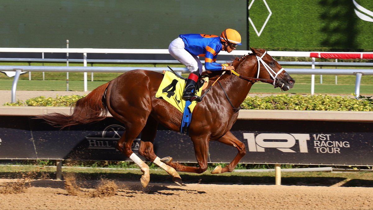 Hammond dominates the Juvenile Sprint Stakes, <a href="/zayas_edgardo/">Edgardo Zayas</a> rode for trainer <a href="/SaffieJosephJr/">Saffie Joseph Jr.</a>, owners <a href="/C2RacingStable/">C2 Racing Stable</a>, JRM Stable, Mathis Stables, and Ken Reimer, and breeders Áaron and Marie Jones. #GulfstreamPark #SunshineMeet