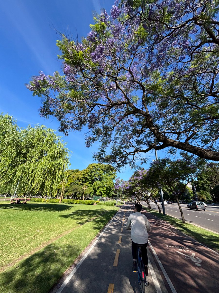 sixtocristiani's tweet image. Si los libertarios pudieran, rematarían y privatizarían todos los parques para que los gestione un privado.