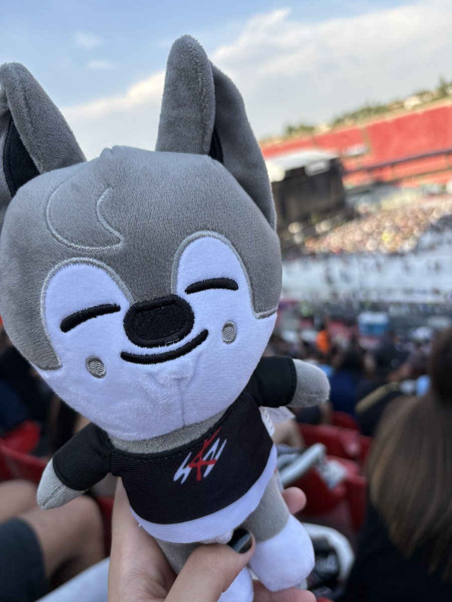 _piclesbieber's tweet photo. Wolfchan no show do oasis 💕 https://t.co/zYKJRyiM2o