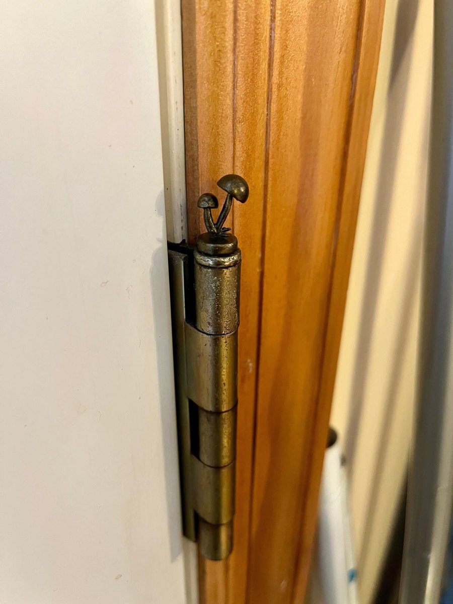 BiancoDavinci's tweet image. Details matter