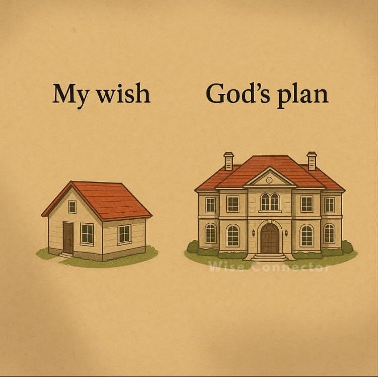 God's plan &gt;&gt;&gt;