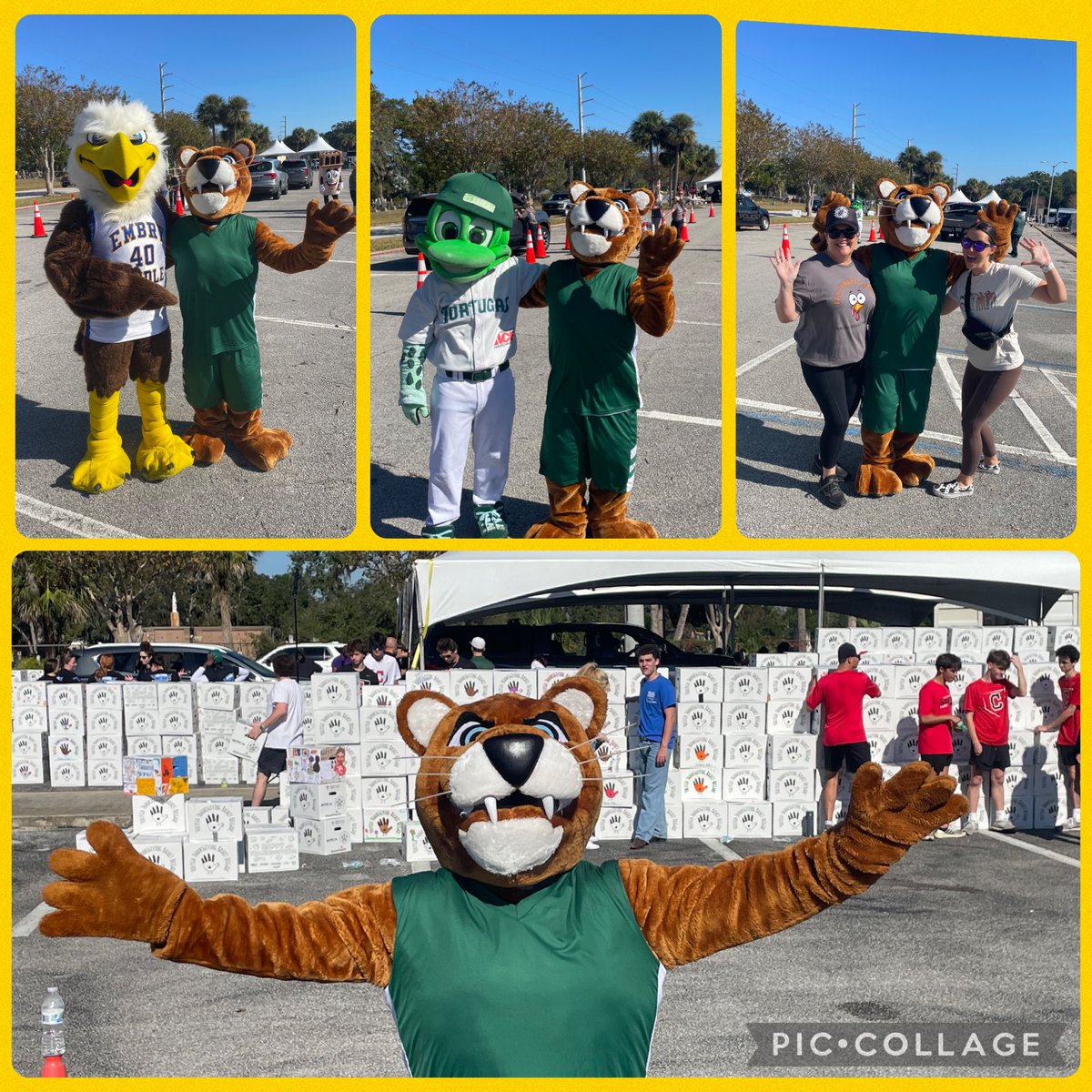 Dr. Angelica Pereles-Coleman tweet media