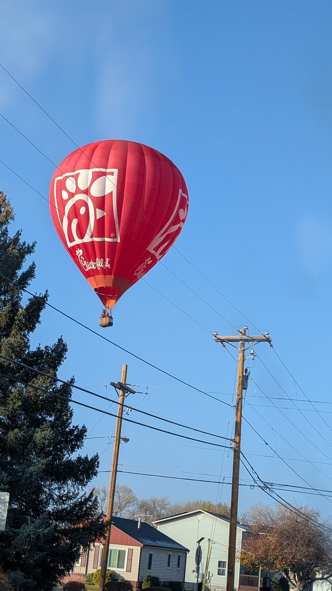 Quasicodo's tweet image. what see ye...