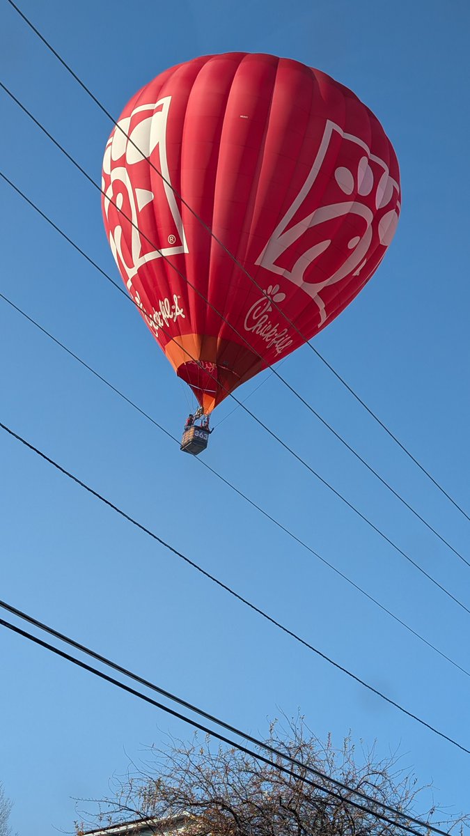 Quasicodo's tweet image. what see ye...