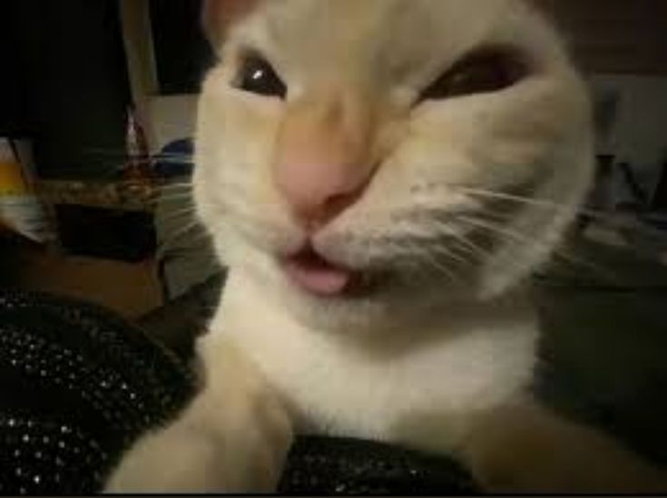 syswraith's tweet image. First time using ThreadPoolExecutor for a DDOS script. With 10 threads, the task would have taken too long to overflow, but hey if my math is correct, I did get 0.0001662686765802% of the job done. I think it could have scaled a *little* better if I had written it in Go.