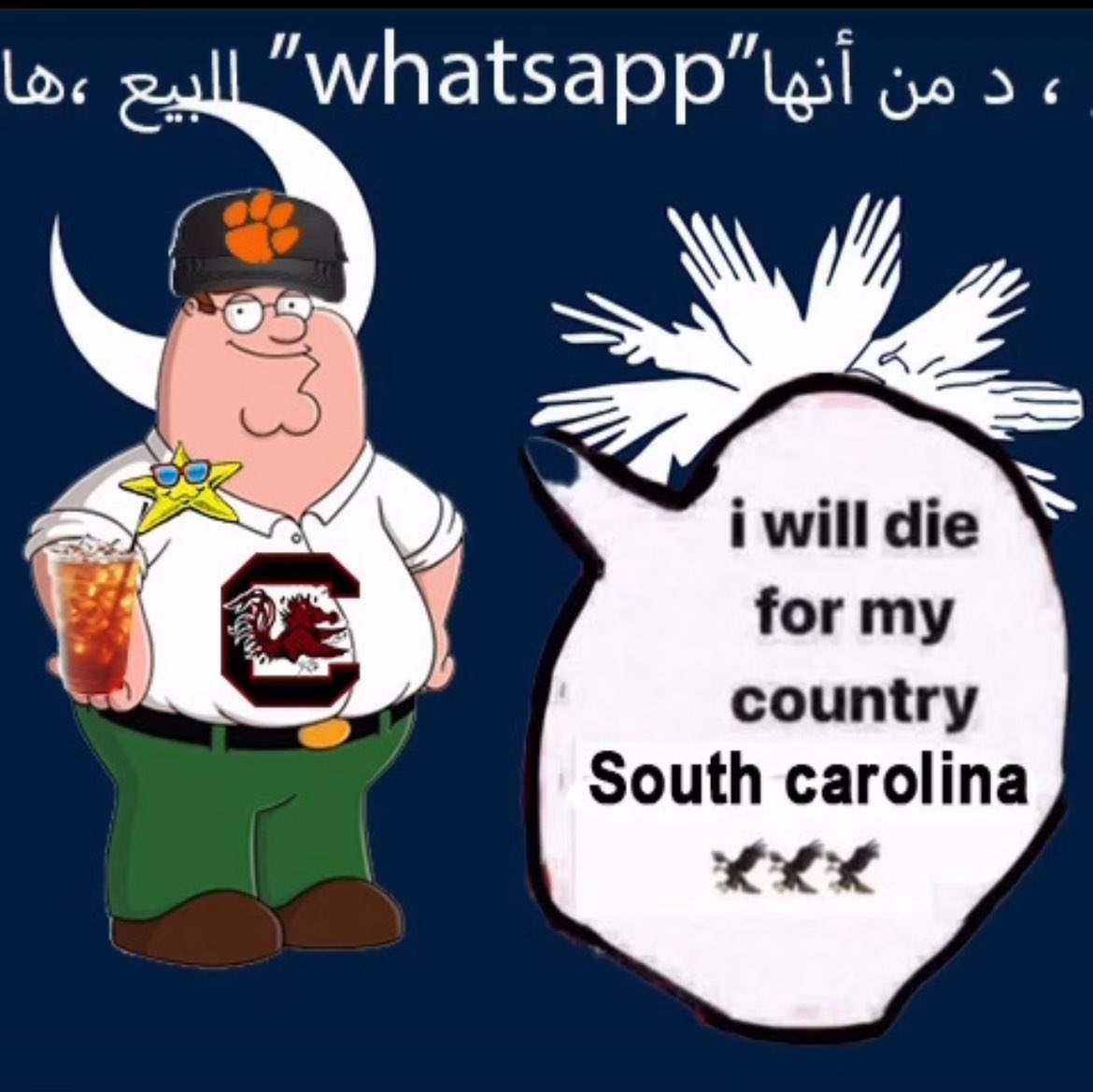 v0mitac0's tweet image. 