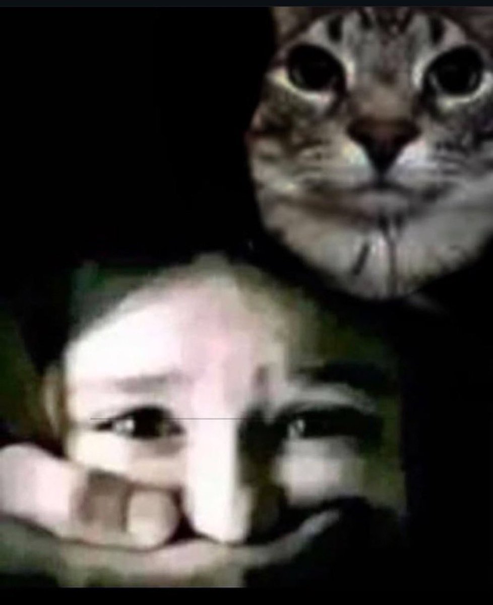 hephunderground's tweet image. How it feels admitting to the alt health community that raw milk made my gut problems worse