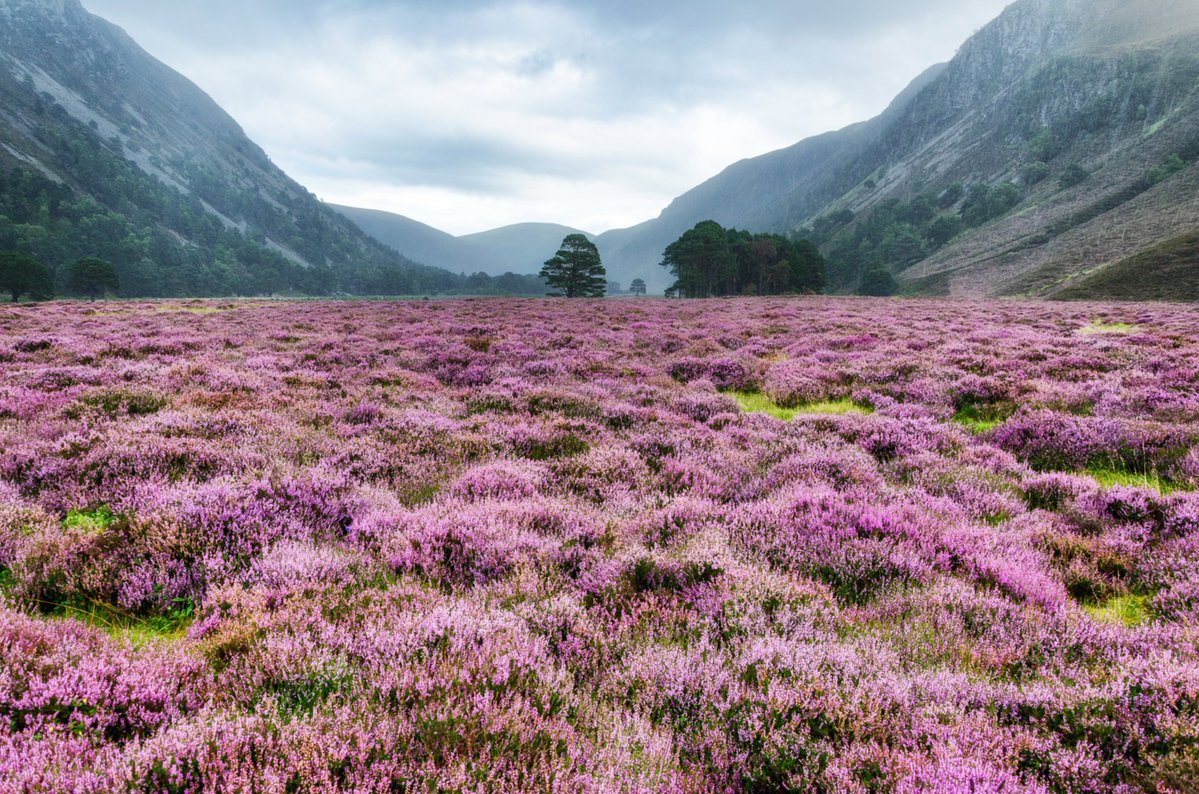 כדרכם של הדברים השווים באמת - הם בדרך כלל נסתרים מן העין ולא ידועים לכולם. לא לכל אחד יש את היכולת לתכנן בפרוטרוט ולהוציא אל הפועל חצייה ברגל של סקוטלנד כולה מחוף לחוף. ולכן, עבור מאי 2026 הגו מארגני אתגר החצייה השנתי מיזם המוגבל ל-50 טיילים בלי הרבה ניסיון שרוצים 
⏬