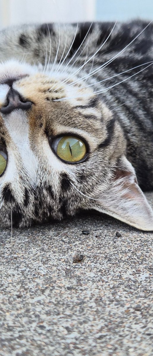 My son took this picture 😍