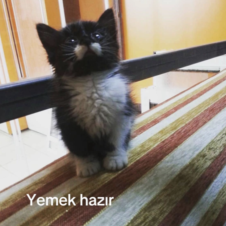 Boşuna Tıklama tweet media