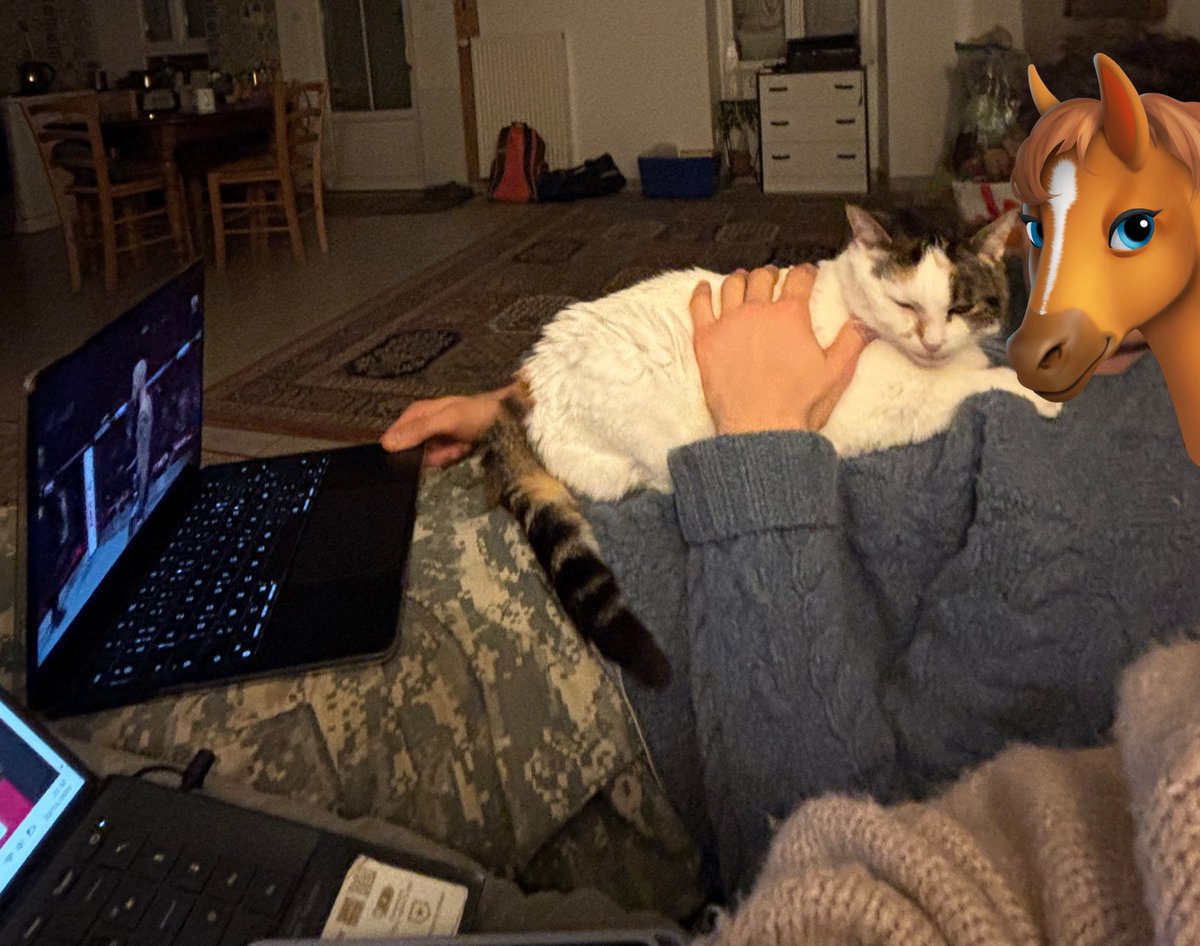 irinalrt's tweet photo. mma, chat, mâle
@poneysartorial le sandwich qu’il fallait avoir https://t.co/UaERCUSkjl