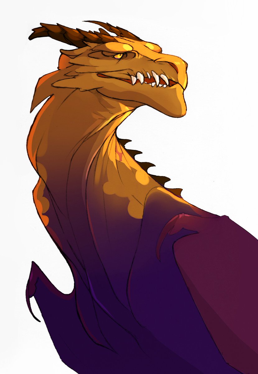 Dimenran (@dimenran) on Twitter photo 