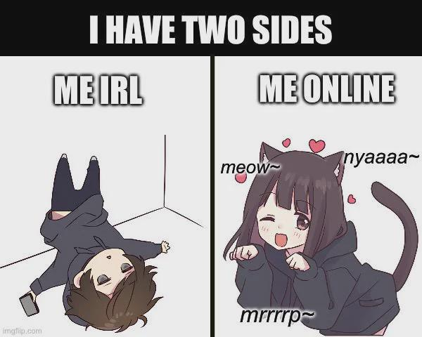 egg🐱🏳️‍⚧️irl #Transfem Meme redd.it/1p423ti