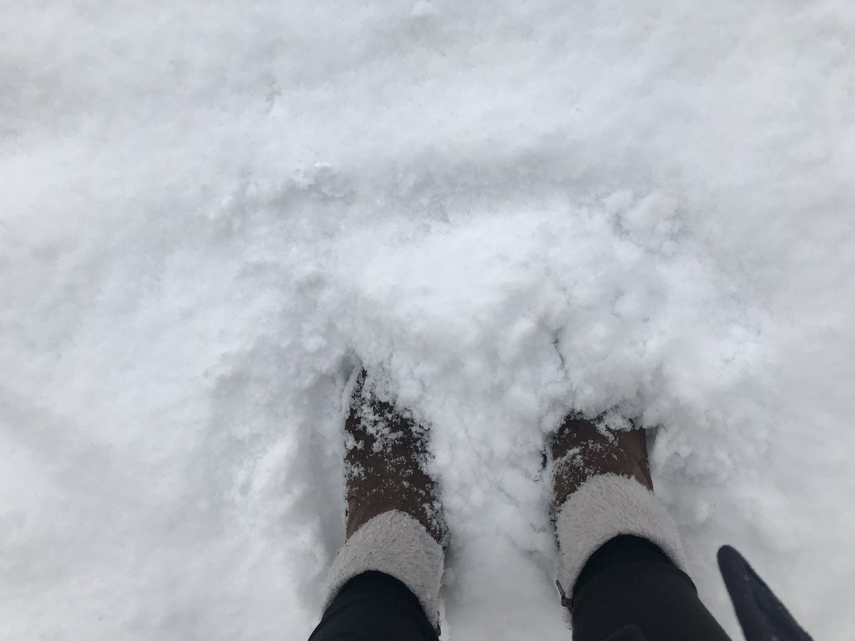 RPayakkin's tweet image. เหมือนฉากเบลล่าจะโดนรถชนในเรื่อง twilight อะ

แต่คือรถเบลล่าไม่ไหล เพราะตอนเช้าคุณพ่อชาร์ลีเอาโซ่มาพันล้อรถให้ (แต่ก็ยังไม่วายซวยมีเพื่อนขับรถแล้วเบรคแตก) 

เคยอยู่ลอนดอนแล้วเป็นปีที่หิมะตกเยอะ เพื่อนคนหนึ่งเกือบล้มจ้ำม่ำ ดีที่เราคว้าแขนเขาได้ ข้างบนมันเป็นหิมะ แต่พอโดนคนเหยียบ…