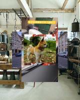 IsmaFlashy's tweet image. Волна на береге 🌊 береговый фотограф бросает триподы 📸 нет берегов🛹Dämmerung am Mittelmeermeer, Antibes, Aussicht auf die Yachtenbucht 🇫🇷🚗