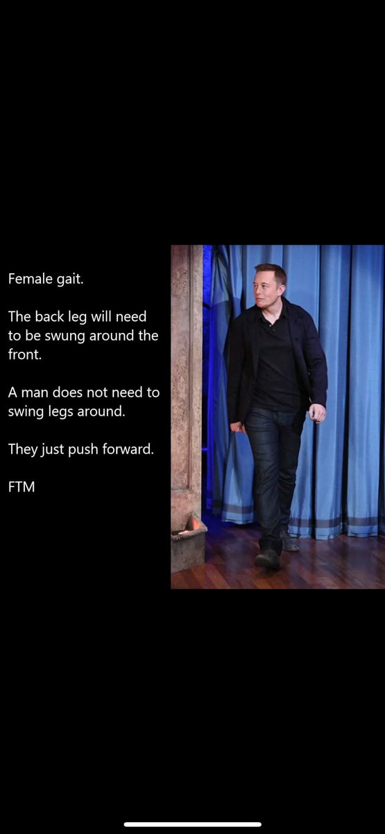 Is Elon a transgender person?