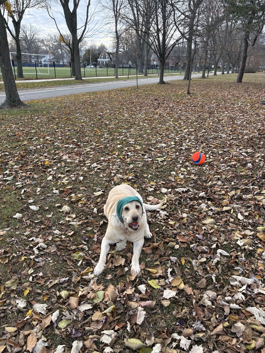 Billy (@bwelch13) on Twitter photo 