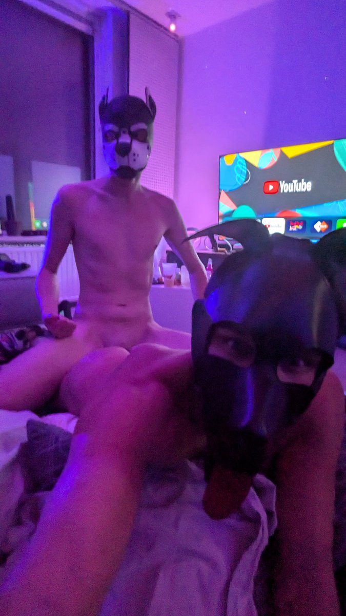 PupRico 🇳🇱 ➡️ | SooN tweet media