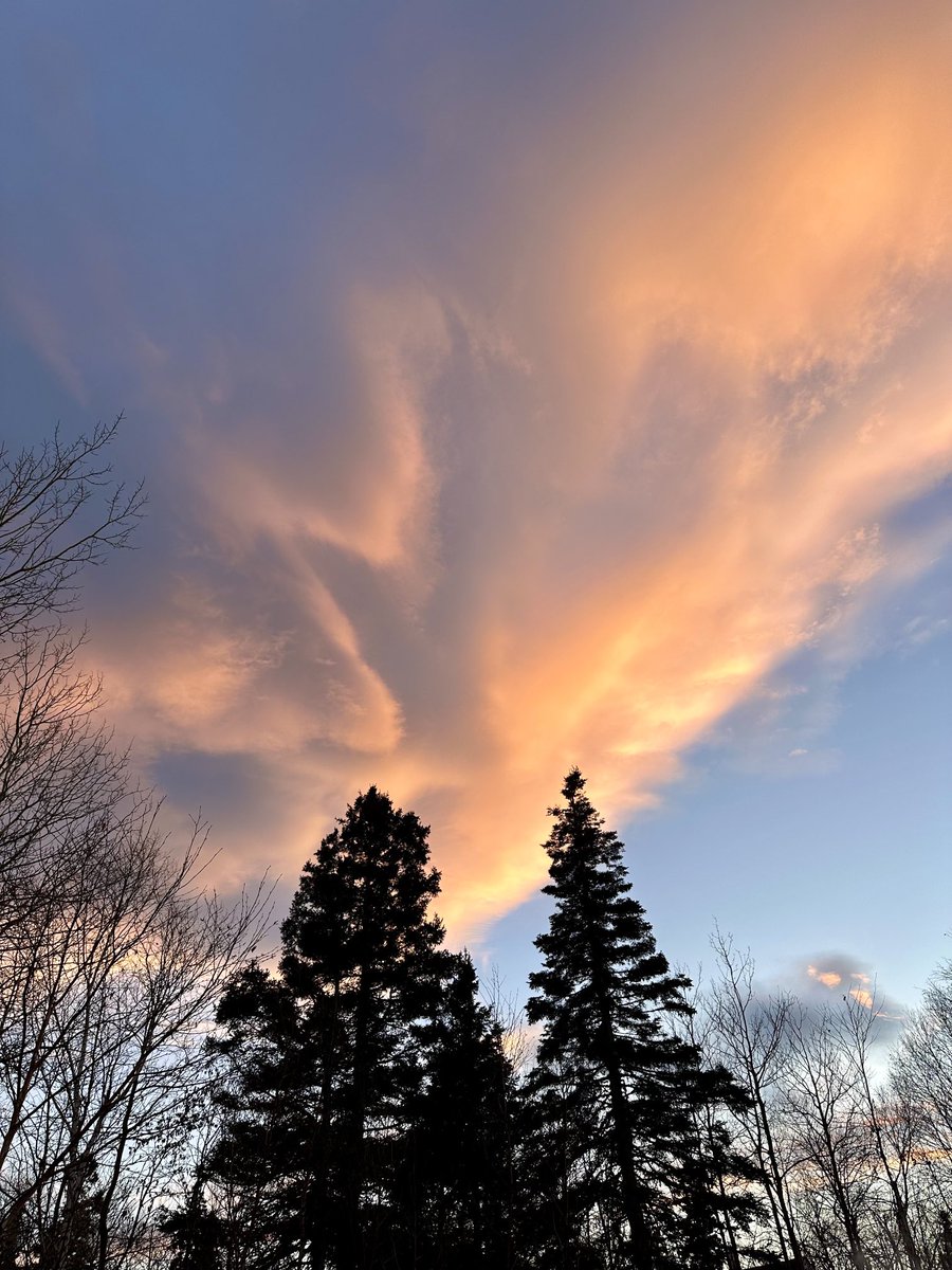 btleparadis's tweet image. Belle fin de journée 😍😍😍