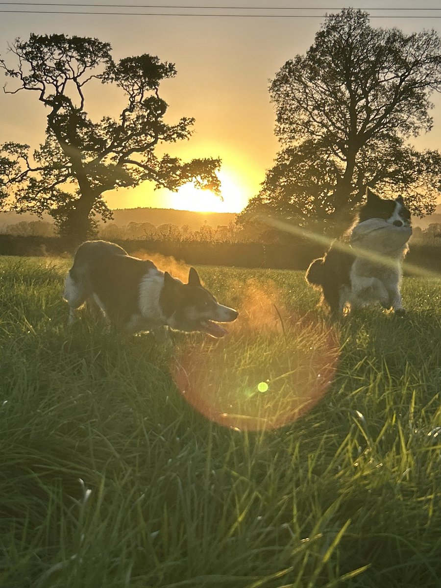 Rhian Jones tweet media