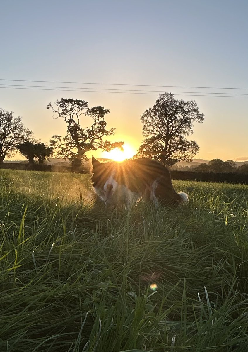 Rhian Jones tweet media