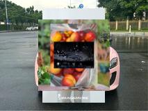 HaliskiJason's tweet image. Autumn forests have red-cap mushrooms 🍄, photo, don’t touch (poisonous)📲Winterstiefel Schneeabstreifer, sauber 👢👴