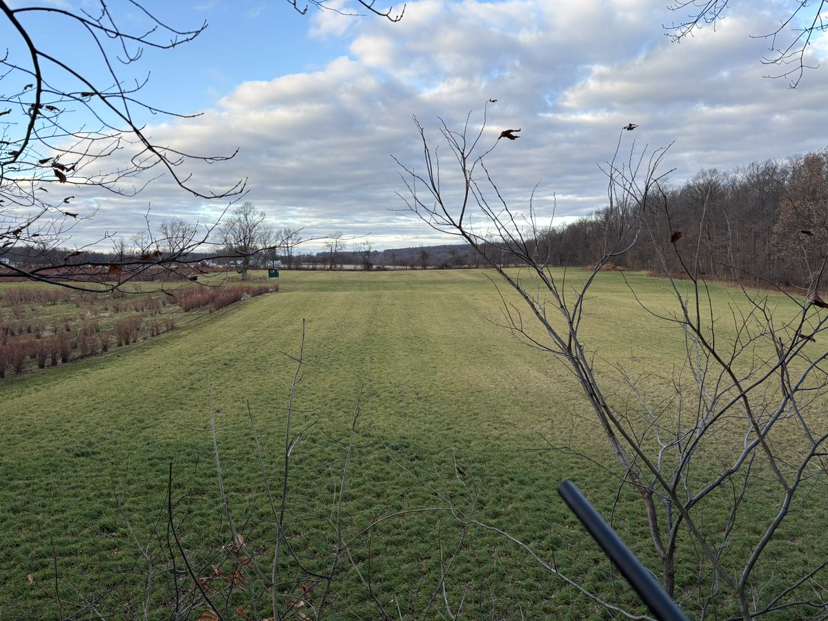 Hunting and drawing class all in one.