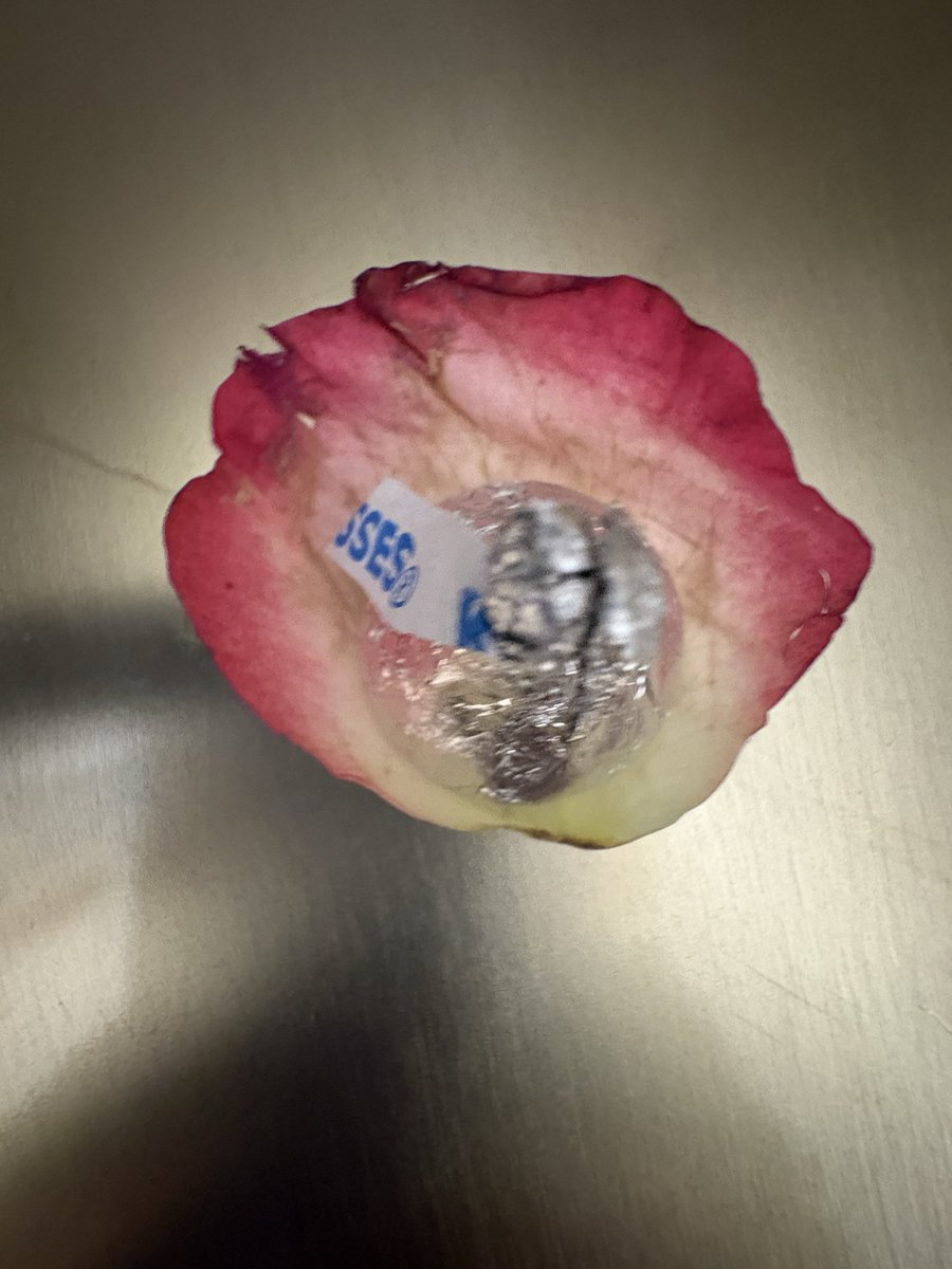 poisonous_pixie's tweet image. #amma