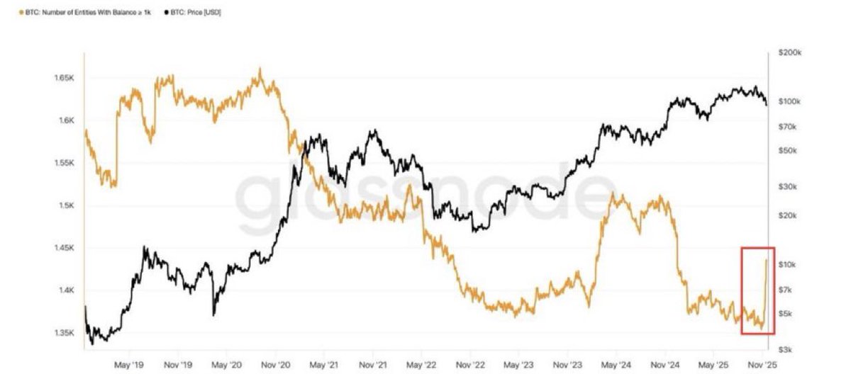 Crypto_Elif tweet media