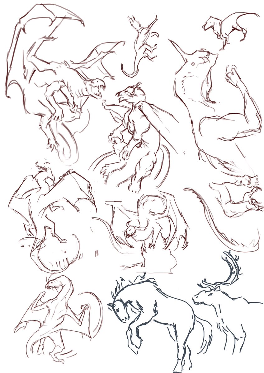 atominkk's tweet image. Some dragon sketches 𐔌՞ ܸ.ˬ.ܸ՞𐦯