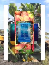 Flood new dehumidifier drain hoses 💧, long, reach 2m 🦟🚰🧖Frühlingspfirsichbaum mit Blumenketten schmücken, Frühlich am Baum 🌸🥹