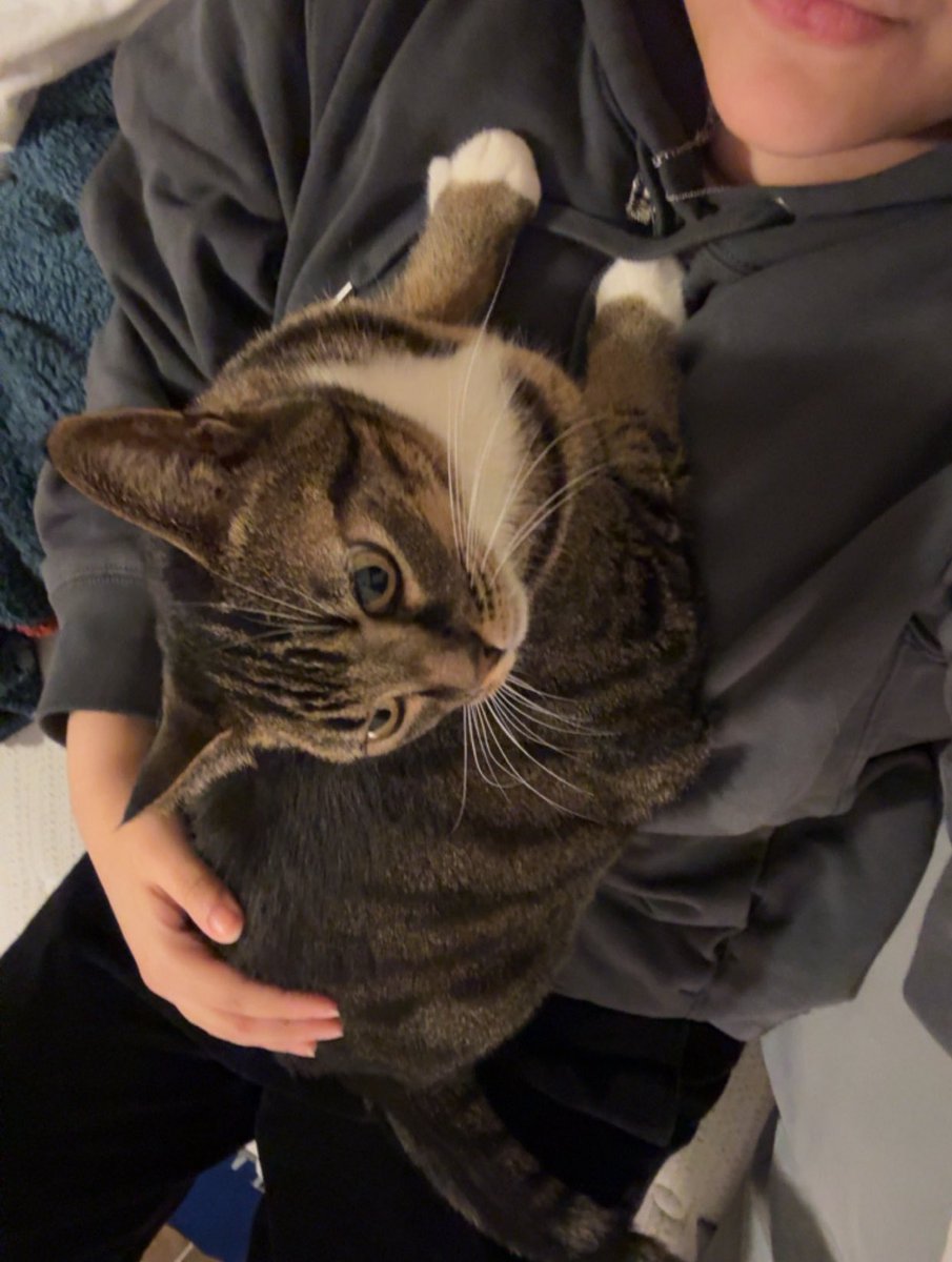 gothcaleb's tweet image. does she know there are other places to sit