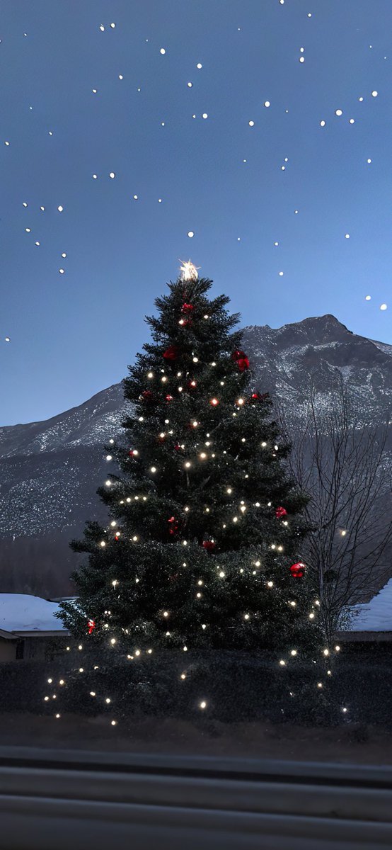 cuteee_all's tweet image. ⭐️