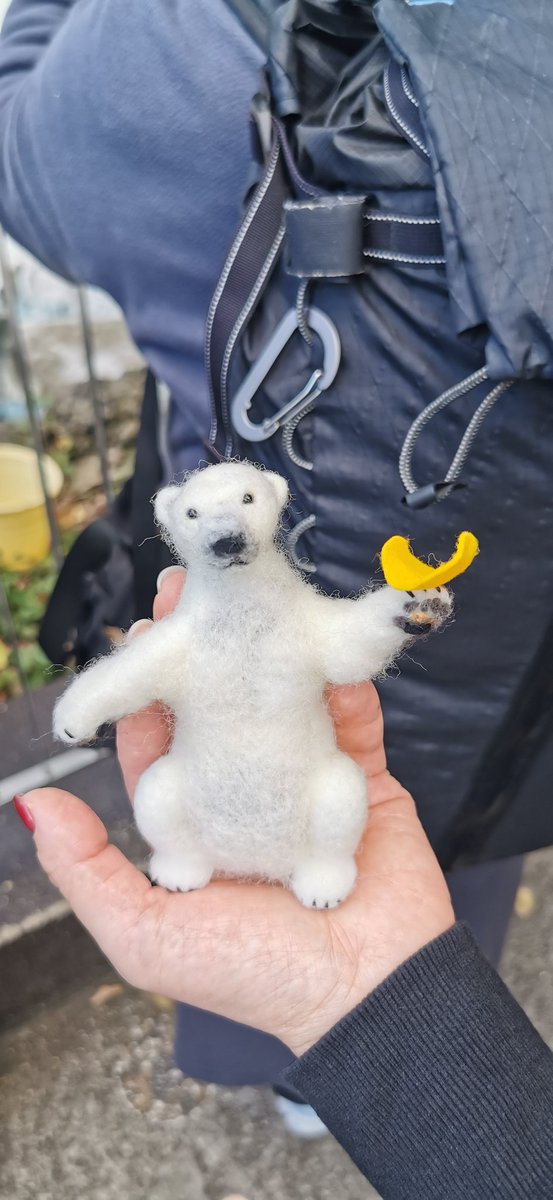 天王寺動物園🍀 #PolarBear✨ #ホウちゃんは皆と一緒🫡 ホウちゃんは