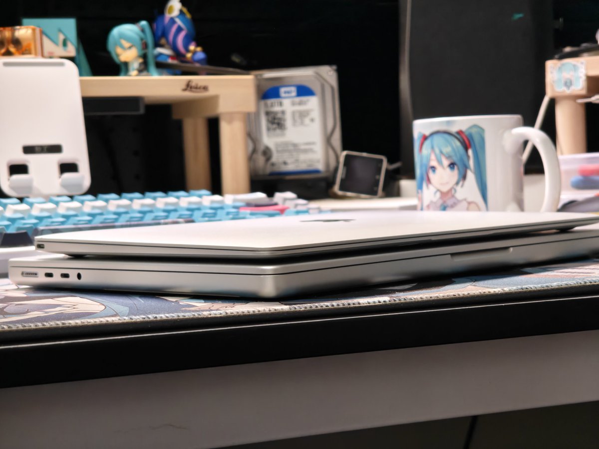 江灵夏草 tweet media