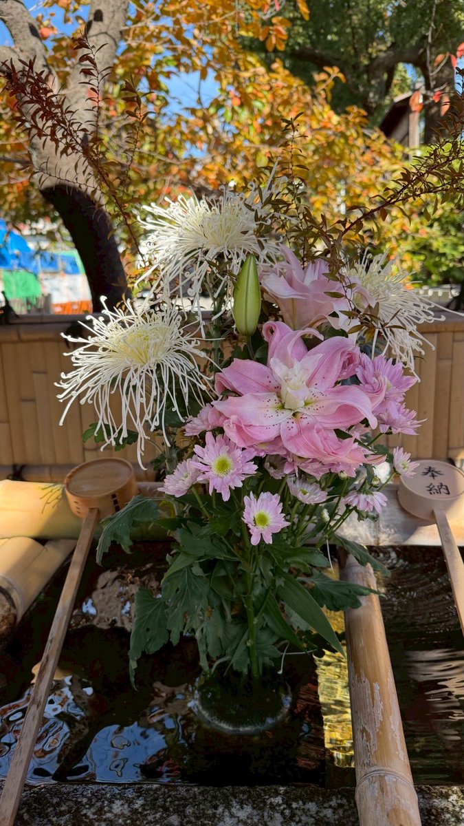 野々花 ロサ ヒベルニカ – Rosa Hibernica | 姫野ばら園八ヶ岳農場