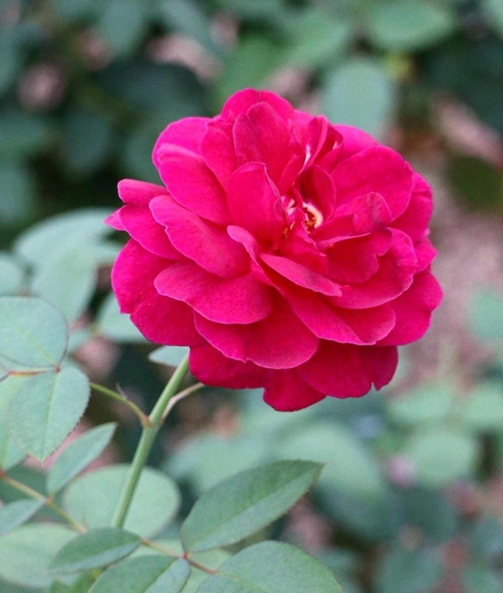 كن انت لاجلك انت 

#صباح_الخير