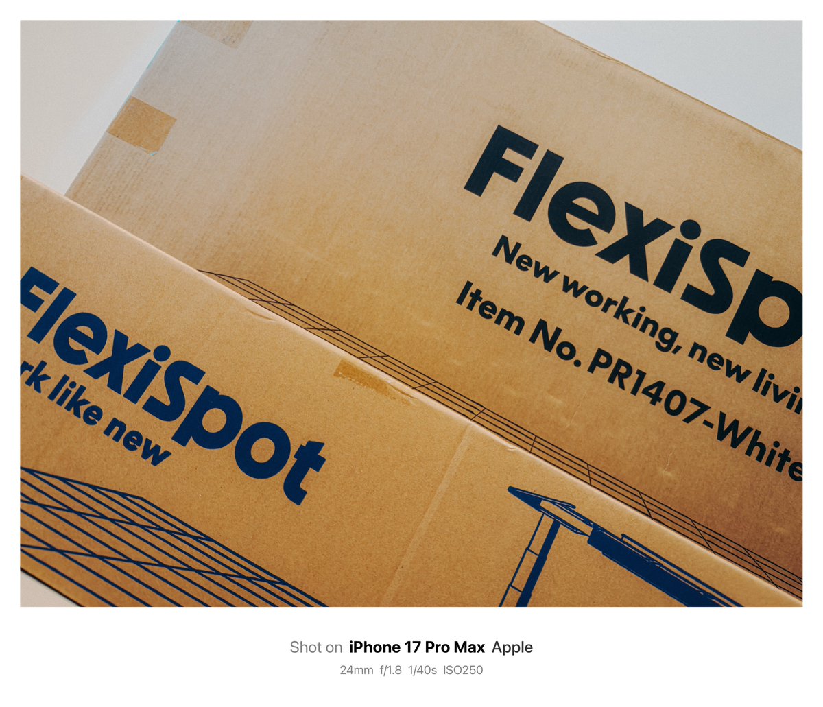 __efiL's tweet image. さて、重労働やっていきますかぁ