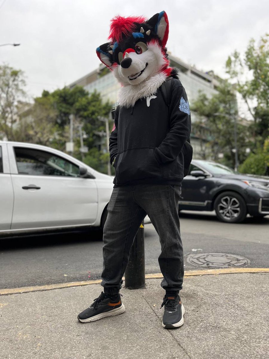 Wolfdra3's tweet photo. Fotito fotito ❤️ https://t.co/Tzc7kwokkT