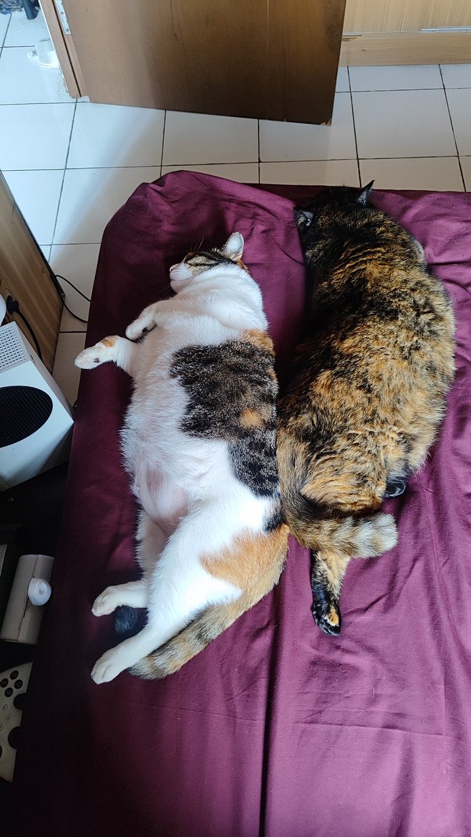 Pemandangan pagi ini