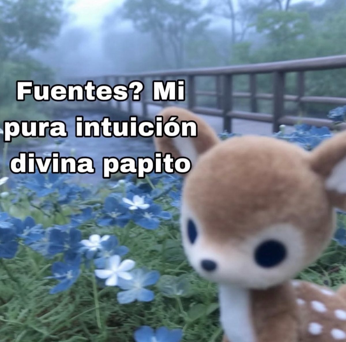 Guarromantico_'s tweet photo. Fuentes? https://t.co/NYwwSl4KKT
