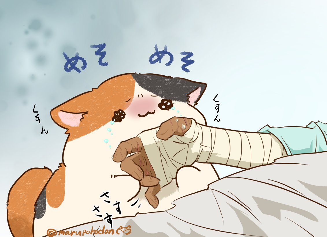 ぺこ (@pekopekko777) / Posts / X