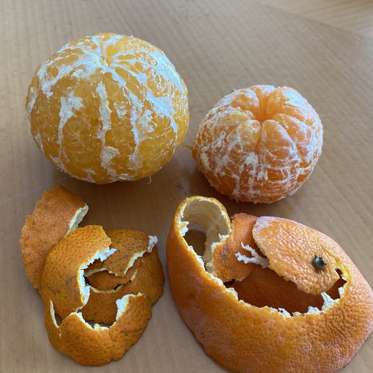 みかんノート (@mikanflavor1) / Posts / X