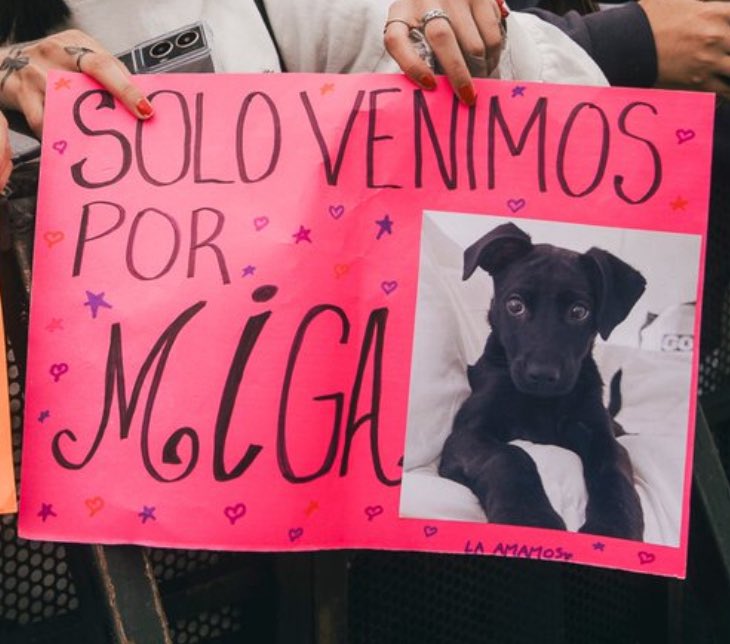 Derojocarmesi 🌶️ (@derojocarmisi) on Twitter photo 