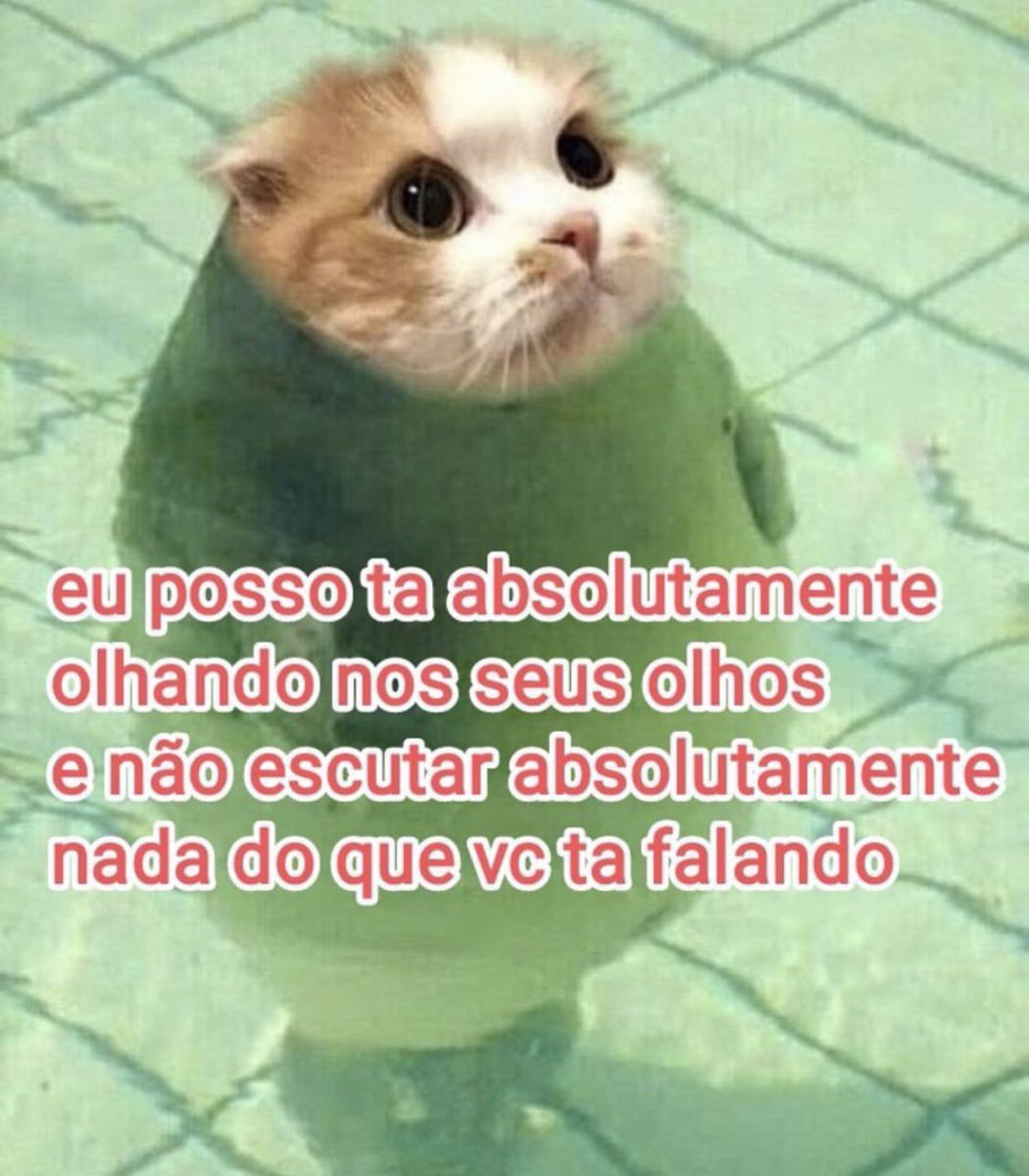 perfil dedicado a gatinhos e peitos (@odeiootaco) on Twitter photo 