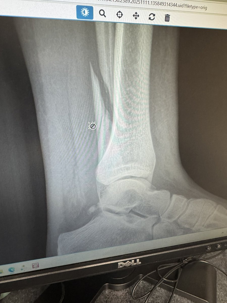 Colbie Hyde tweet media