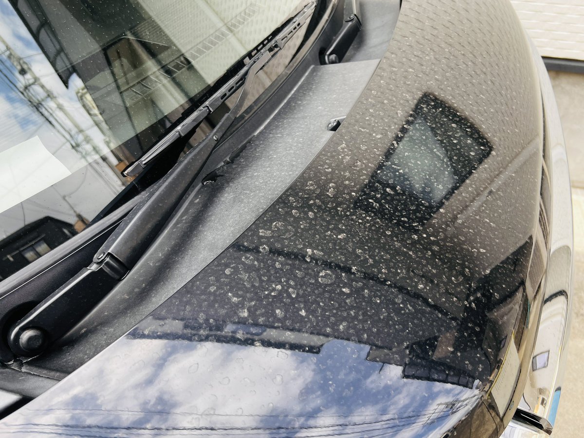 yuji_aquatecs's tweet image. 暇なんで洗車しまーす♪
マキタのバッテリーが一個行方不明に💦
Kyoto detailからのダンボール📦がたくさんです😱

ひろさん
タツさん
ラッコさん

待ってます👍

#KYOTODETAIL
#HDF
#ラボコス