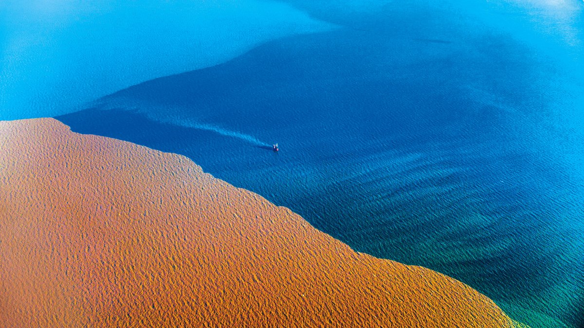 Where the Yellow River meets the sea, the land transforms into a living canvas of gold and blue. 

In Dongying, every shift of the tide redraws the landscape – calm, vast, and endlessly alive.

Come see this natural masterpiece unfold. 🌊