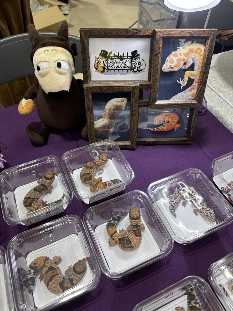 バム(Tales of Reptelia) (@jimeixhi) / Posts / X